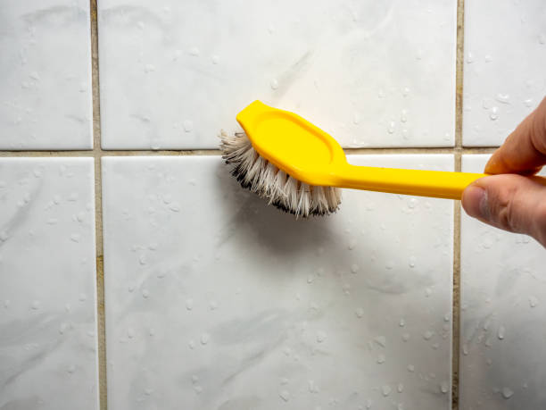 Best Localized Mold Remediation (e.g., coastal areas, humid climates) in South Barrington, IL