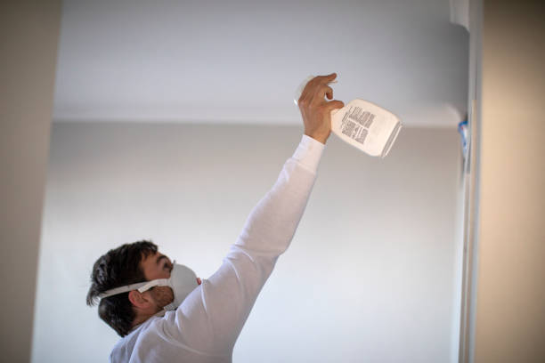 Best Commercial Mold Remediation in South Barrington, IL